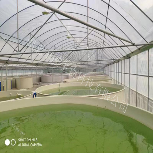 工厂化循环水养殖是未来水产养殖的重要模式