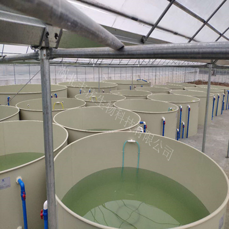 中国水产养殖必由之路-集约化工厂化循环水养殖